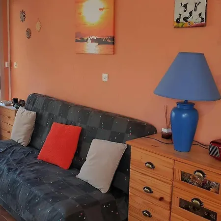 T2 A Argeles-sur-mer, A 300m, Piscine, Parking Prive, Animaux Acceptes - Fr-1-388-109 Apartment Argeles-sur-Mer